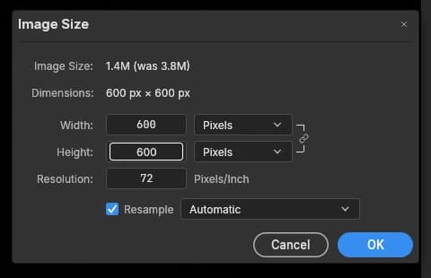 PhotoCraft 0.15.1 hiển thị Dimensions 600 × 600 px, Width và Height 600, Resample bật và Automatic